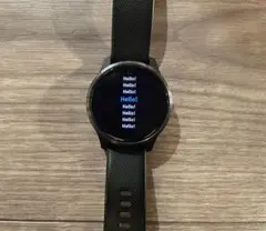 GARMIN VENU スマートウォッチ 本体　充電ケーブル