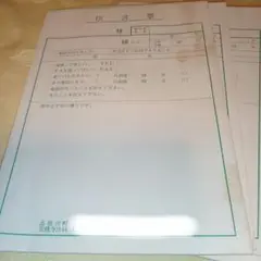 伝言票　メモ用紙　 用紙タイプ　昭和レトロ　訳あり