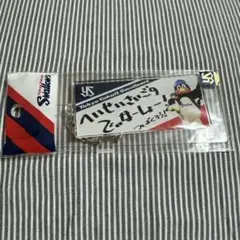 つば九郎　キーホルダー