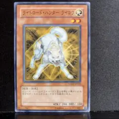 遊 プレイ ゴールド 効 ライトロード・ハンター ライコウ GDB1 1枚