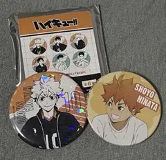 ハイキュー!! 日向翔陽 缶バッジ 2個セット