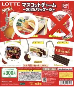 LOTTE マスコットチャーム 2025パッケージ