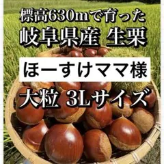 ほーすけママ様専用　岐阜県中津川産 大粒生栗 1kg 栗きんとんの本場から直送