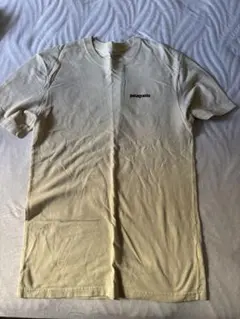 Patagonia パタゴニア Tシャツ ベージュ