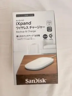 IX pand ワイヤレスチャージャーSanDisk SDIZ90N-256G 2026年最新】sdiz90n-256gの人気アイテム - メルカリ