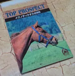 イクノディクタスの95　トレーディングカード