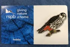 Item thumbnail for item 36cf0601-0e0a-497e-9e25-4ed6d1c84ed5