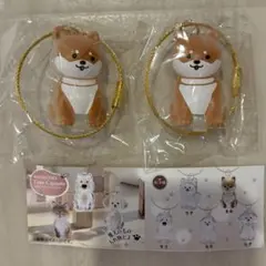 ワンコのタイムカプセル　2個セット　まめ　柴犬