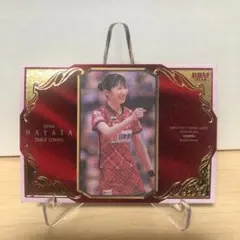 早田ひな velvet 2024 bbm crown ハイグレードインサート