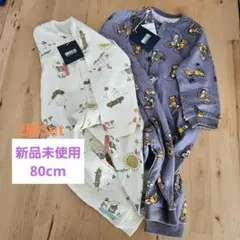 Item thumbnail for item 3c8cc939-721a-48b0-8e77-b6221c435058