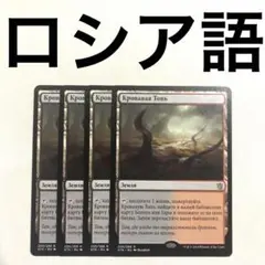 mtg フランス語版 友好色フェッチランド 4種類セット ktk edh mtg フランス語版 友好色フェッチランド 4種類セット ktk edh