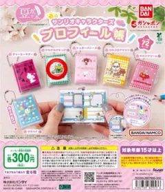 豆ガシャ本 サンリオキャラクターズ「プロフィール帳」 けろけろけろっぴ