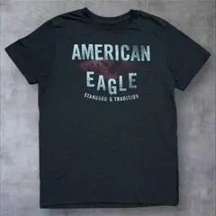 雰囲気抜群　アメリカンイーグル　ビックロゴ　アメカジ　Tシャツ　ヴィンテージ