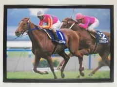 競馬 テイエムオペラオー パネル GREEN CHANNEL 開局20周年