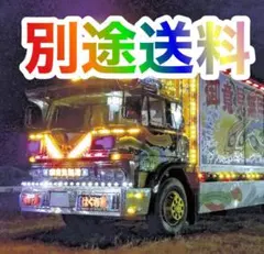 モモカ様専用Lバイオ5別途送料分