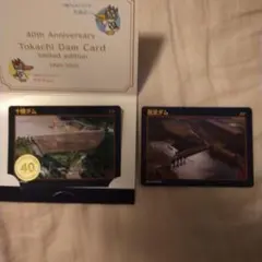 プレミアムダムカードセット 2025年最新】ダムカード 記念カードの人気アイテム - メルカリ