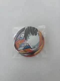 ハイキュー　ファンパーク　コレクション缶バッジ　影山飛雄