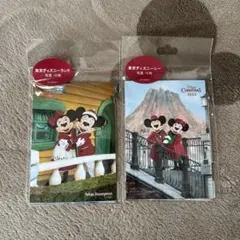 東京ディズニーランド・シー 2023年クリスマス写真セット