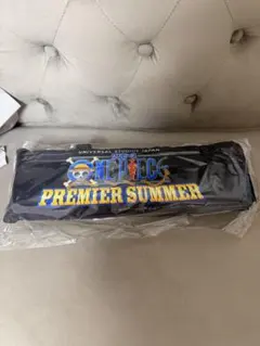 ユニバ　USJ VIP ワンピース　折りたたみクッション