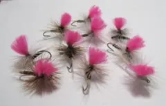 Item thumbnail for item 5bba0bb3-dac6-4f6d-bb08-d2e1b7ef9811