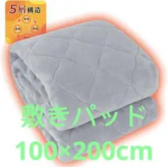 ★敷きパッド ５層構造 吸湿発熱 蓄熱保温 極厚極上暖寒さ対策100×200