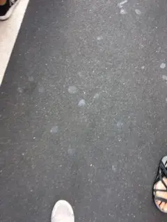 はーちゃん様専用