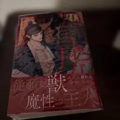 目に虎の宿るが如し 1 - メルカリ
