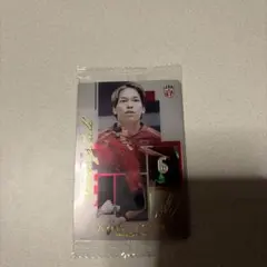 バレーボール日本代表 山内晶大 トレーディングカード