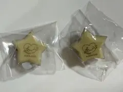 白鳥藍良 リングライト 32個セット 2025年最新】白鳥藍良 リングライトの人気アイテム - メルカリ