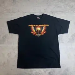 00s USA製 ハーレーダビッドソン skull fire XL