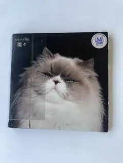 カネコアヤノ 燦々 cd - メルカリ