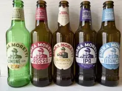 インテリア✽.。.:* モレッティビール空き瓶　5本セット