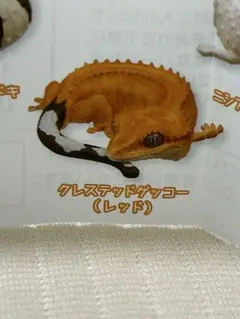 Item thumbnail for item efe1f6dd-ab0a-45fe-b3cd-0114f202b8a8