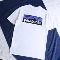人気！Patagonia パタゴニア　バックプリントTシャツ ボックスロゴ　Sのサムネイル