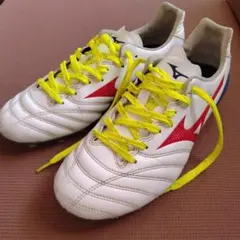 ミズノ モナルシーダ NEO 2 PRO 25cm