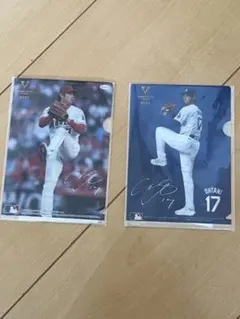 Item thumbnail for item d62ed469-9474-49f5-bd06-a7dea9b1c010