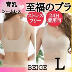 ▽ベージュ L 育乳ブラ ナイトブラ シームレスブラ 極楽 補正下着 美胸060