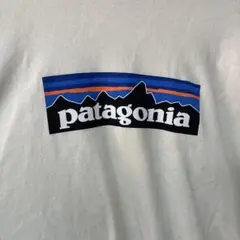 patagonia ロゴ入り ジャンクサイズ不明 パタゴニア　ユニセックス