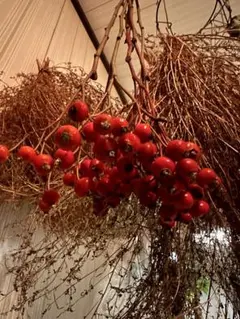 みーにゃ♡28日(金)21:00〜様 リクエスト 2点 まとめ商品