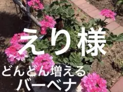 えり様 リクエスト 3点 まとめ商品