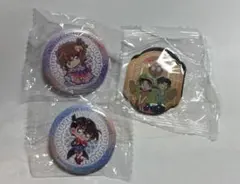 名探偵コナン ピンバッジ ×2 、マグネット×1