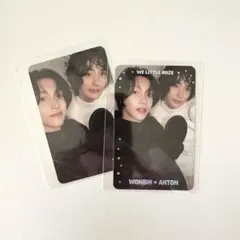 ウォンビン　アントン　まとめ売り　ユニット　トレカ　RIIZE PARK