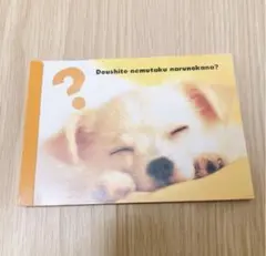 Item thumbnail for item 6223bae0-97aa-4242-af37-09e707fd3385