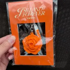 登坂広臣 会場限定ローズキーホルダー JSB LAND FOREVER ♢ - メルカリ