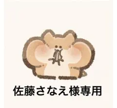 佐藤 さなえ様 リクエスト 2点 まとめ商品