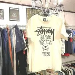 ♯146 STUSSYステューシー カットソー Tシャツ半袖ビックロゴプリントS