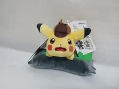 匿名発送❗エコバッグ　ピカチュウ　ゴロンダ