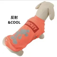 Item thumbnail for item 2d8bb9f8-f9ea-4c1c-840d-e720e35498a3