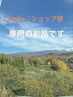 マクラメネックレス　オパール、ムーンストーンメノウなど