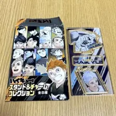 ハイキュー!! 星海光来 スタンド＆チャームコレクション 全8種 ランダム